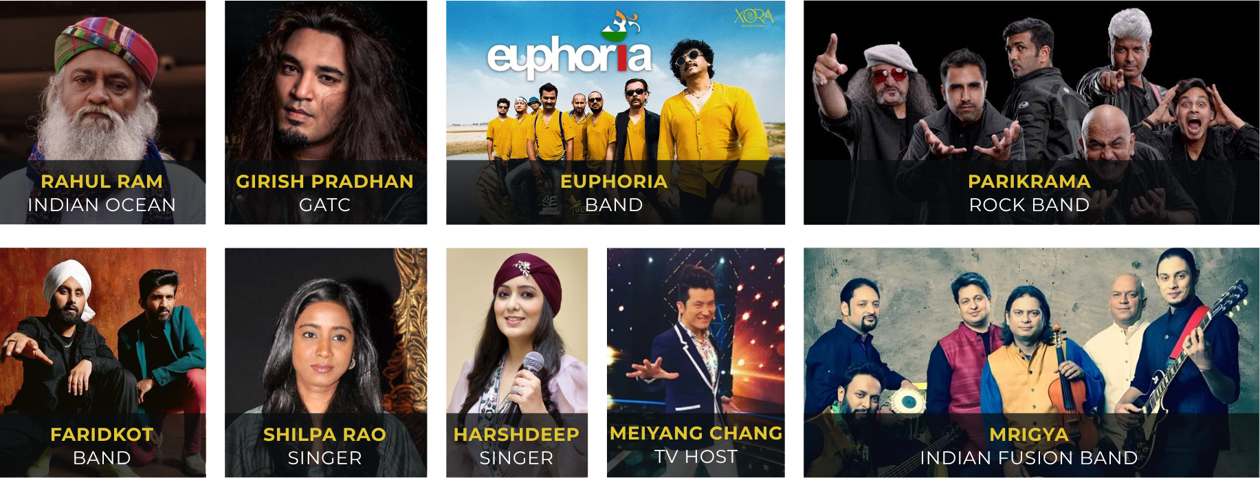 Collaborations: Rahul Ram (Indian Ocean), Girish Pradhan (GATC), Euphoria, Parikrama, Faridkot, Shilpa Rao, Harshdeep, Meiyang Chang, Mrigya